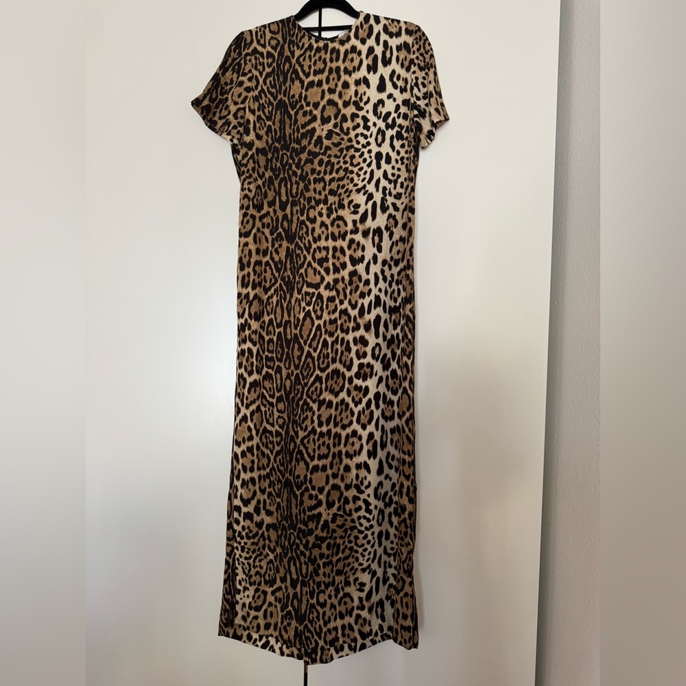 Zara Animal Print Dress